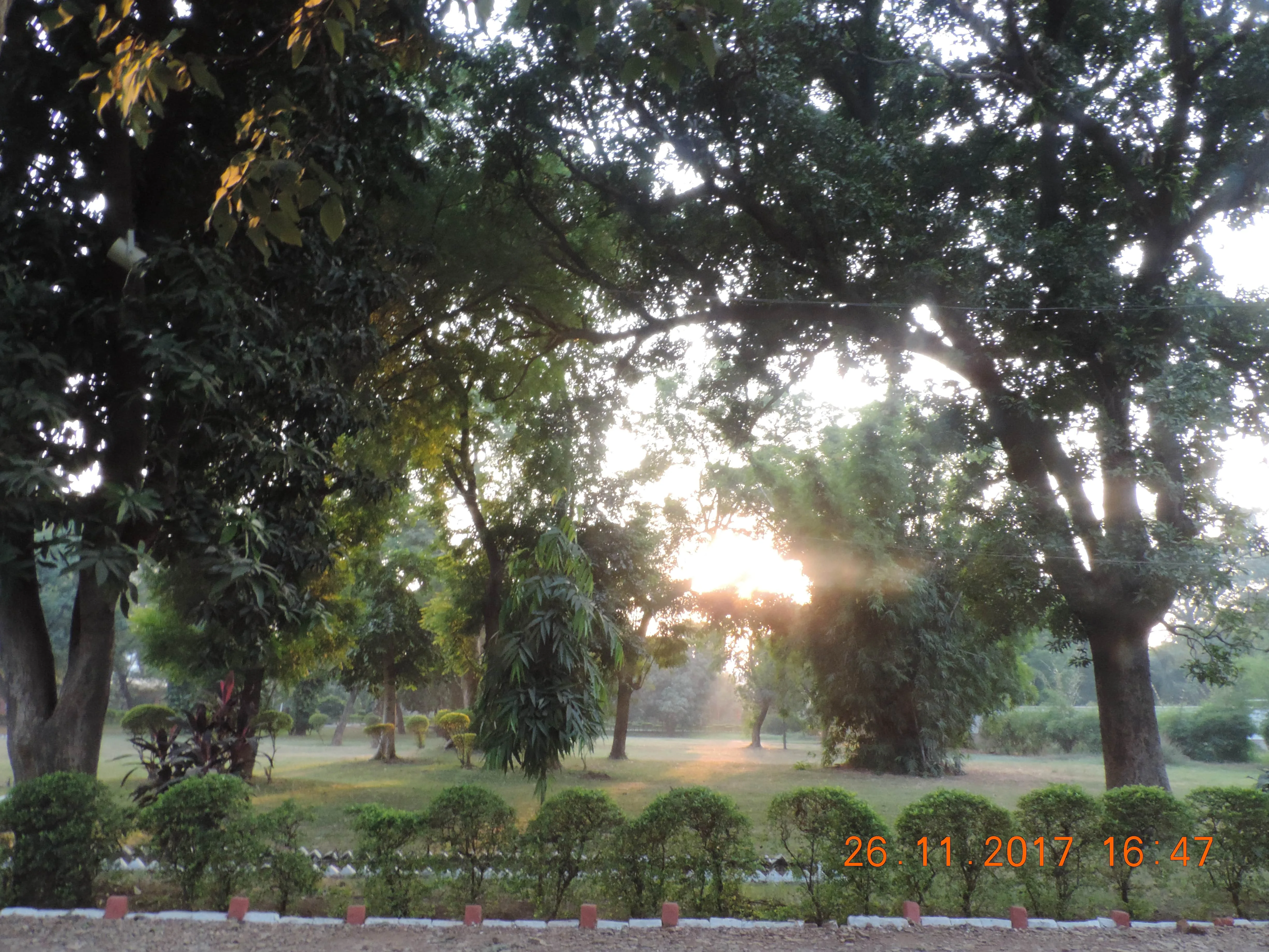 Scindia Kanya Vidyalaya garden Campus